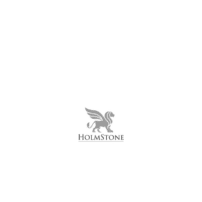 C&I_Holmstone